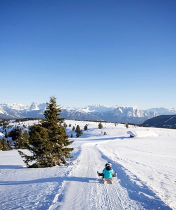 Tobogganing